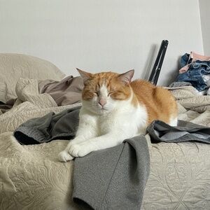 Meet your Posher, Alex